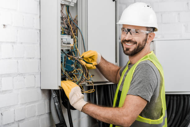 Best Electric Panel Repair  in Lton, IN